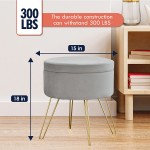 Ornavo Home Modern Round Velvet Storage Ottoman Foot Rest Vanity Stool Seat with Gold Metal Legs & Tray Top Coffee Table Silver