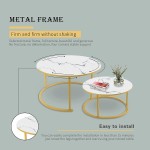 BLNDQMY Modern Nesting Coffee Table Round Coffee Table with Marble Glass Top & Gold Metal Frame for Living Room Office Balcon 31.5"+23.6"
