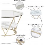 Modern Gold Coffee Table，KIREINAKAWA Round Coffee Table Mid Century Glass Cofee Table with Storage，White Marble Coffe Table Clear Coffee Tables Tea Table Circle Center Table for Living Room