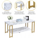 NAFORT 2-Tier White Marble Coffee Table Rectangular Table with Storage Shelf Sturdy Gold-Finished Metal Frame Waterproof Table Top Modern Design Cocktail Table for Living Room and Bedroom
