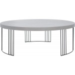 Safavieh Home Collection Keelin Grey and Black Coffee Table