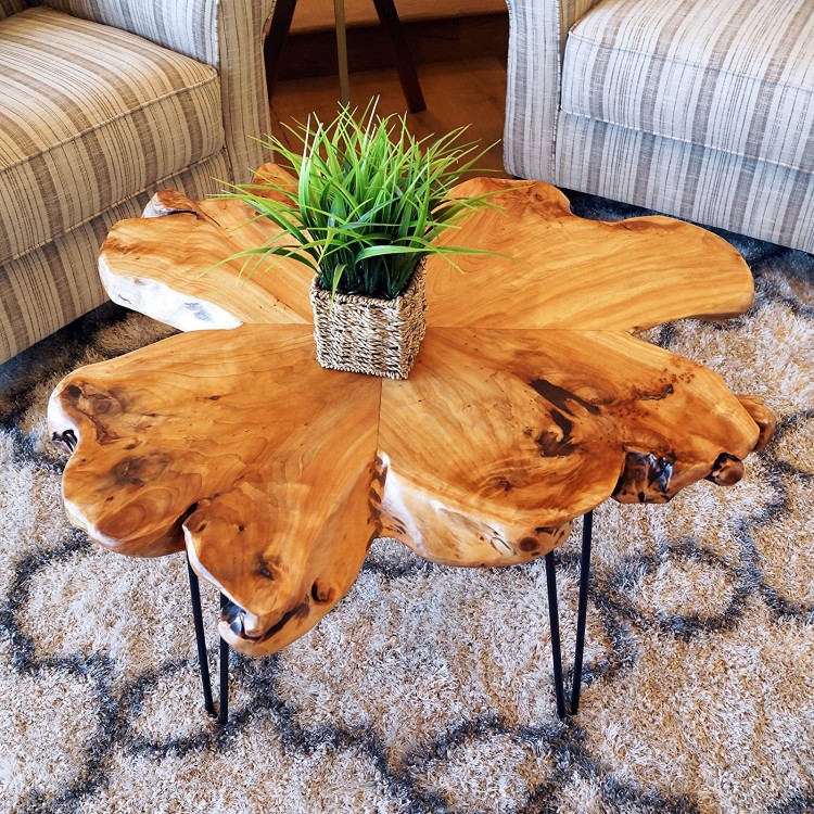 WELLAND Natural Edge Coffee Table Style D