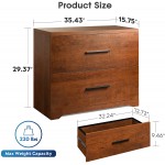 DEVAISE 2 Drawer Wood Lateral File Cabinet with Anti-tilt Mechanism Storage Filing Cabinet for Home Office Walnut