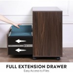 DEVAISE Wood Lateral File Cabinet with 1 Drawer Printer Stand with Storage Shelves Large Mobile Filing Cabinet for Home Office Walnut