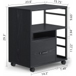 Mobile File Cabinet with Drawer Printer Stand with Storage Letter Size for Home OfficeBlack
