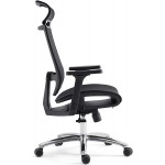 BILKOH Ergonomic Office Chair High Back Desk Chair with Mesh Seat Adjustable Lumbar Support Breathable Mesh Chair Wide Headrest& Reclining Task Chair Adjustable 3D Armrest & Height Computer Chairs
