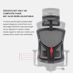 ERGOUP Home Office Chair Adjustable Lumbar Support Chair Executive Mesh Desk Chair with Adjustable Headrest & 3D Armrest Computer Chair with Tilt Function and PU Wheels Grey No footrest