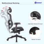 ERGOUP Home Office Chair Adjustable Lumbar Support Chair Executive Mesh Desk Chair with Adjustable Headrest & 3D Armrest Computer Chair with Tilt Function and PU Wheels Grey No footrest