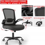Office Chair Ergonomic Desk Chair with Adjustable Lumbar Support High Back Mesh Computer Chair with Flip-up Armrests-BIFMA Passed Task Chairs Executive Chair for Home Office