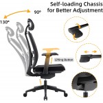 RONGBUK 3D Ergonomic Home Office Chair with Lumbar Support High Back Desk Chair with Thick Seat Cushion Adjustable & 3D Armrest Headest Mesh Computer Task Chair for Home Office Gaming Black