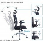 Ticova Ergonomic Office Chair High Back Desk Chair with Adjustable Lumbar Support Headrest & 3D Metal Armrest 130° Rocking Mesh Computer Chair