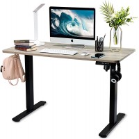 VIZTY Electric Standing Desk,Height Adjustable Home Office Desks with USB Charging Port,Sit and Stand Up Table with 48 x 24 Inches One-Piece Table Top White Maple