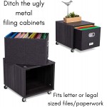 BirdRock Home Rolling File Cabinet with 2 Lateral Drawers – Decorative Storage Shelf Blankets Books Files Magazines Toys etc – Removable Bin with Handles – Under Desk Office Living Room Home