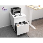 CuHome 2-Drawer Mobile Filing Cabinet with Lock and Casters Fully Assembled Except Casters Vertical File Metal Cabinet for Home Office Small Filing Cabinet Under Desk Cloud White