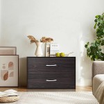 LIVIZA 2-Drawer Stackable Horizontal Storage Cabinet Dresser Chest with Handles Lateral File Cabinet for Home and Office Coffee