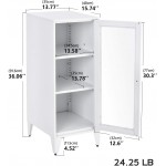 Metal Storage Cabinet,2 Adjustable Shelves File Cabinet Organizer,Locker Cupboard for Bedroom Living Room Bathroom Home Office Furniture,Modern