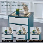 Modern Side Nightstand Table with Wireless Charging and USB Ports & Dimmable Led Light Smart End Table Storage Cabinet for Bedroom Living Room Home Office Blue MDF + Black Glass Table Top