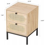 XIAO WEI Nightstand with 2 Handmade Natural Rattan Drawers Side Table End Table with Wood Accent and Metal Legs for Bedroom Living Room. Natural 1
