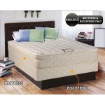 Dream Sleep Tomorrow's Dream Innerspring Pillow Top Eurotop Queen Size Mattress and Box Spring Set Sleep System with Enhanced Cushion Support Fully Assembled and Longlasting Comfort