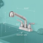JS Jackson Supplies Dual Handle Pull Out Faucet Stainless Steel Finish 4 Inch Center Set Universal Utility Sink or Laundry Tub ABS Plastic Faucet with Spray Setting