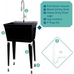 Utility Sink Extra-Deep Laundry Tub in Black with High-Arc Stainless Steel Coil Pull-Down Sprayer Faucet Integrated Supply Lines P-Trap Kit Heavy Duty Floor Mounted Freestanding Wash Station