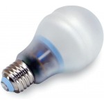 GE 63502 9-Watt 430-Lumen Covered Glass CFL Light Bulb Reveal 2-Pack