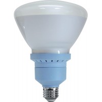 GE Lighting 67467 Reveal CFL 26-Watt 100-watt replacement 1100-Lumen R40 Floodlight Bulb with Medium Base,