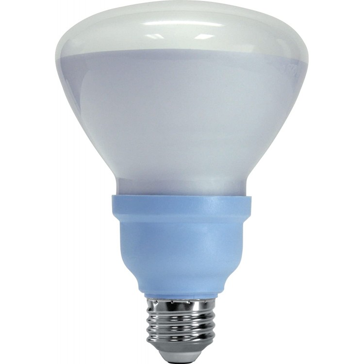 General Electric 62270 Reveal CFL 15-Watt 660-Lumen R30 Floodlight Bulb with Medium Base 12-Pack
