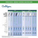 Culligan P5A P5 Whole House Premium Water Filter 8,000 Gallons 2 Count Pack of 1 White