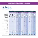 Culligan RC 4 EZ-Change Premium Water Filtration Replacement Cartridge 500 Gallons White