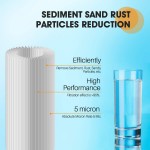 PUREPLUS 10" x 4.5" Whole House Pleated Sediment Filter for Well Water Replacement Cartridge for GE FXHSC Culligan R50-BBSA Pentek R50-BB DuPont WFHDC3001 American Plumber W50PEHD GXWH40L 2Pack