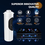 PUREPLUS Under Sink Water Filter 22000 Gallons 99.99% Chlorine Reduction NSF ANSI Certified Direct Connect Under Counter Water Filtration System