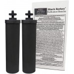 Travel Berkey Gravity-Fed Water Filter with 2 Black Berkey Purification Elements