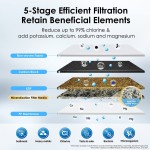 Waterdrop WD-CFF-01 Replacement Filter Countertop Water Filter Longer Filter Life 5-stage Water Filter Reduces Heavy Metals Bad Taste and Up to 99% of Chlorine 1 Pack