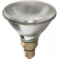 GE Lighting PAR38 Halogen Flood Light Bulbs Warm White Spotlight Indoor and Outdoor 60-Watt 1070 Lumen Medium Base 2-Pack