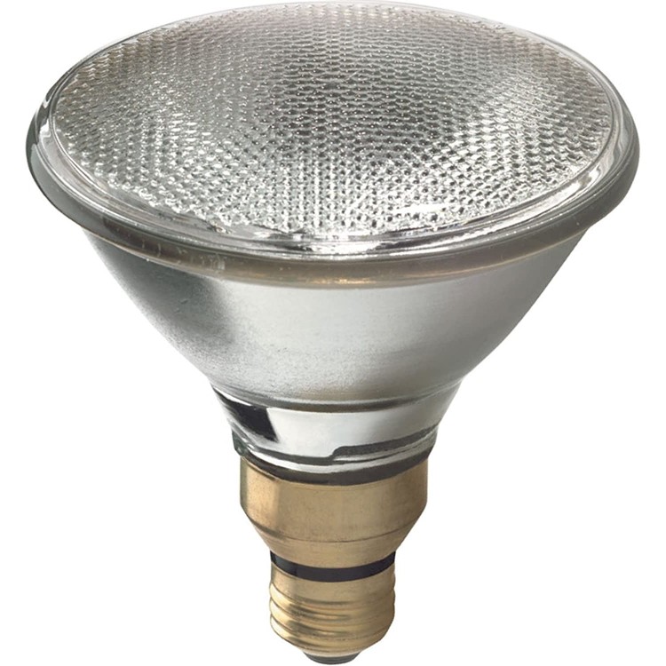 GE Lighting PAR38 Halogen Flood Light Bulbs Warm White Spotlight Indoor and Outdoor 60-Watt 1070 Lumen Medium Base 2-Pack