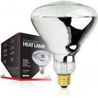 Bulbmaster 250 Watts R40 Clear Heat lamp Light Bulbs Infrared Flood Incandescent 250R40 HR Medium E26 Base 1 Pack