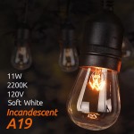 Incandescent Replacement Bulbs 11W S14 4 Pack Waterproof E26 Screw Base for Outdoor Incandescent String Lights