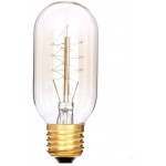 Vintage Edison Bulb 25 Watt T45 Spiral Cage Filament Dimmable 8 Pack 65 Lumen