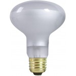 Zilla 3 Pack Reptile Terrarium Heat Lamps Incandescent Bulb White Spot 50W
