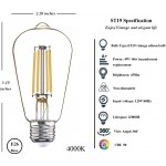 12 Pack LED Edison Bulbs 40W Equivalent,4 Watt LED Filament Bulb,4000K Daylight ST19 Light Bulb,450LM E26 Vintage LED Bulbs for Ceiling Light Fixtures