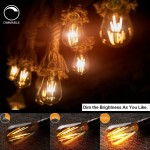 LED Edison Bulbs Dimmable Amber Warm 2700K Antique Vintage Style Filament Light Bulbs 40W Equivalent E26 Base 6-Pack by LUXON
