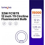 FC12T9 32W Light Bulb Replacement by Lumenivo 12 Inch T9 Circline Fluorescent Bulb 4-Pin G10Q-4 Base Great for Ceiling Fixtures Garage Lights and Many Applications 6500K Daylight 1 Pack