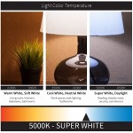 Sunlite FCL30 50K Fluorescent 30W T9 Circline Ceiling Lights 5000K Super White Light 4-Pin Base