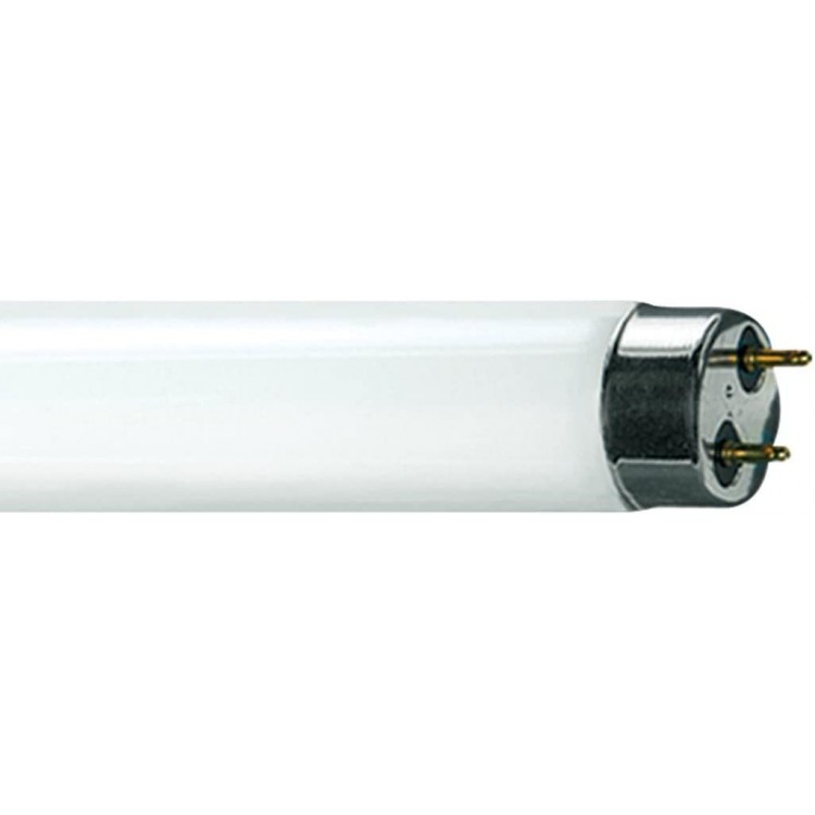 Sylvania 4 ft. 32-Watt Linear T8 Fluorescent Tube Light Bulb Daylight 1-Bulb Frosted
