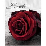 Modern Red Rose Flowers on Gray Books Wall Art Paintings Set of 4 8X10” Canvas Picture Relax Breathe Wash Unwind for Bathroom Bedroom Living Room Home Decor No Frame