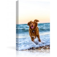 NWT Personalized Pictures to Canvas for Wall Custom Canvas Prints with Your Photos for Pet Animal Framed 10x8 inches
