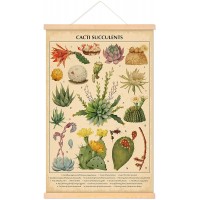 Vintage Cacti Succulents Poster Cactus Wall Art Prints Rustic Cactus Hanging Wall Decor Hanging Canvas Frame Wall Poster for Living Room Office Classroom Bedroom Dining Room Decor 15.7 x 23.6 Inch