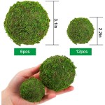 18 Pack Decorative Faux Dried Moss Balls- 6pcs 3.1" Artificial Green Plant Mossy Globes+ 12pcs 2.2" Handmade Sphere Moss Hanging Balls for Home Garden Decors Party Wedding Display Supplies Photo Props