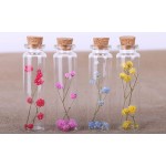 MaxMau 20ml Small Glass Bottles,Tiny Glass Vials,Jars with Cork Stoppers,Message Bottles,Wishing Bottle for Wedding Favors Baby Shower Favors DIY Art Craft Storage,24pcs
